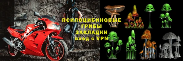 ECSTASY Лиски
