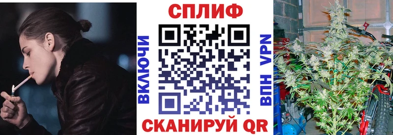 Конопля MAZAR  Брюховецкая 